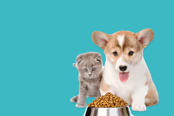 banner-02.jpg banner-02.jpg