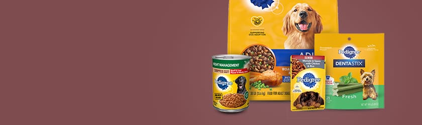 banner-04.jpg banner-04.jpg