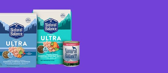 banner-06.jpg banner-06.jpg