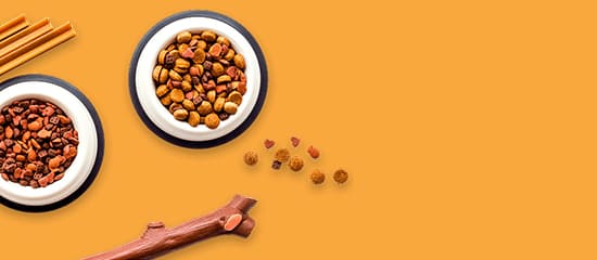 banner-07.jpg banner-07.jpg